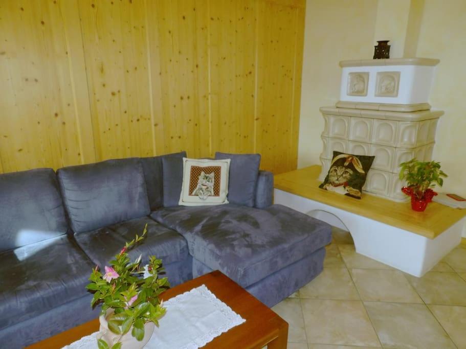 Apartmán Ciasa Gran Panorama Moena Exteriér fotografie
